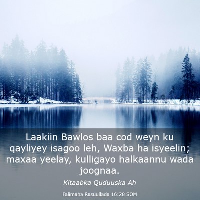 Picture 03 - Falimaha Rasuullada 16:28 SOM - Laakiin Bawlos baa cod weyn ku qayliyey isagoo - Bible Verse Picture