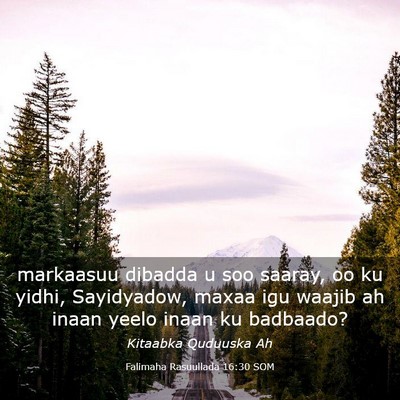 Picture 03 - Falimaha Rasuullada 16:30 SOM - markaasuu dibadda u soo saaray, oo ku yidhi, - Bible Verse Picture