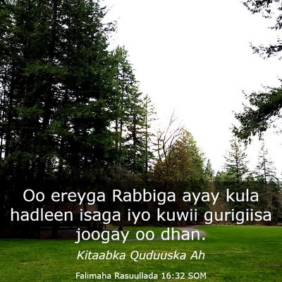Picture 03 - Falimaha Rasuullada 16:32 SOM - Oo ereyga Rabbiga ayay kula hadleen isaga iyo - Bible Verse Picture