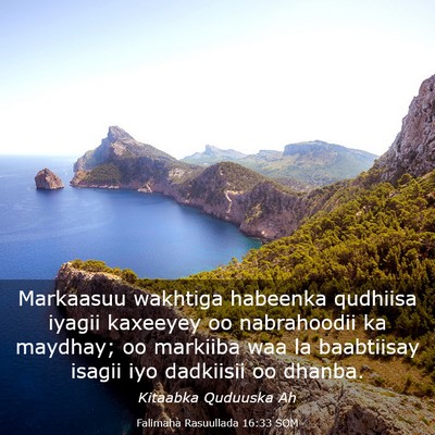 Picture 03 - Falimaha Rasuullada 16:33 SOM - Markaasuu wakhtiga habeenka qudhiisa iyagii - Bible Verse Picture