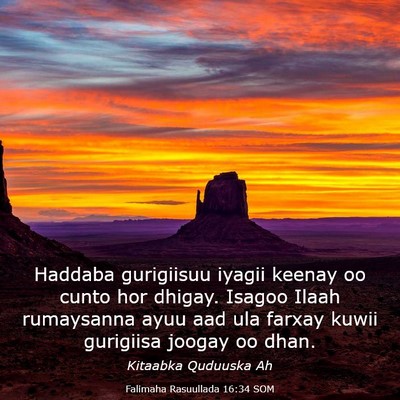 Picture 03 - Falimaha Rasuullada 16:34 SOM - Haddaba gurigiisuu iyagii keenay oo cunto hor - Bible Verse Picture