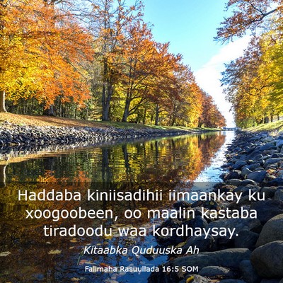Picture 03 - Falimaha Rasuullada 16:5 SOM - Haddaba kiniisadihii iimaankay ku xoogoobeen, oo - Bible Verse Picture