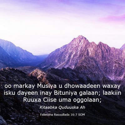 Picture 03 - Falimaha Rasuullada 16:7 SOM - oo markay Musiya u dhowaadeen waxay isku dayeen - Bible Verse Picture