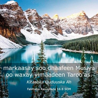 Picture 03 - Falimaha Rasuullada 16:8 SOM - markaasay soo dhaafeen Musiya oo waxay yimaadeen - Bible Verse Picture
