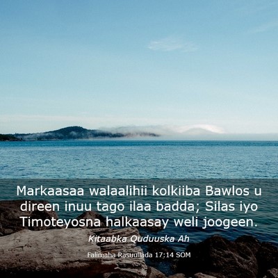 Picture 03 - Falimaha Rasuullada 17:14 SOM - Markaasaa walaalihii kolkiiba Bawlos u direen - Bible Verse Picture