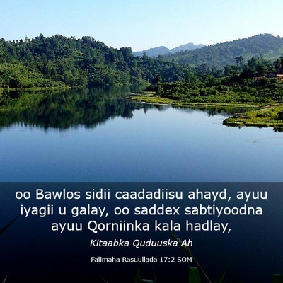 Picture 03 - Falimaha Rasuullada 17:2 SOM - oo Bawlos sidii caadadiisu ahayd, ayuu iyagii u - Bible Verse Picture