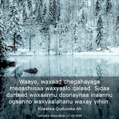 Picture 03 - Falimaha Rasuullada 17:20 SOM - Waayo, waxaad dhegahayaga maqashiisaa waxyaalo - Bible Verse Picture