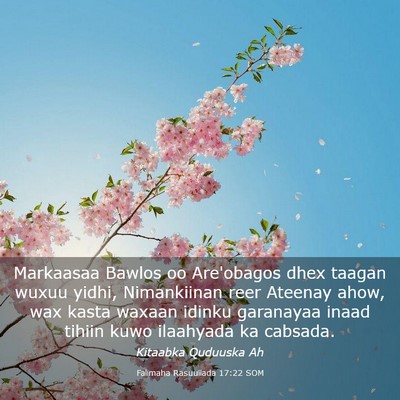 Picture 03 - Falimaha Rasuullada 17:22 SOM - Markaasaa Bawlos oo Are'obagos dhex taagan wuxuu - Bible Verse Picture