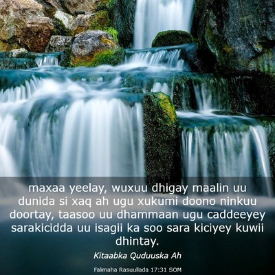 Picture 03 - Falimaha Rasuullada 17:31 SOM - maxaa yeelay, wuxuu dhigay maalin uu dunida si - Bible Verse Picture