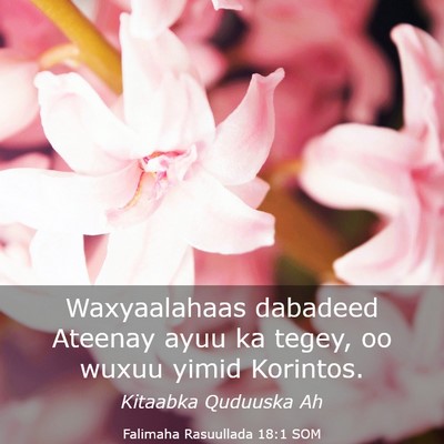 Picture 03 - Falimaha Rasuullada 18:1 SOM - Waxyaalahaas dabadeed Ateenay ayuu ka tegey, oo - Bible Verse Picture
