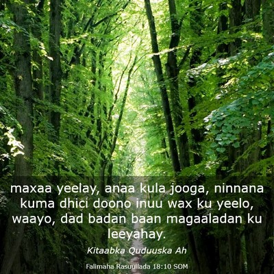 Picture 03 - Falimaha Rasuullada 18:10 SOM - maxaa yeelay, anaa kula jooga, ninnana kuma dhici - Bible Verse Picture