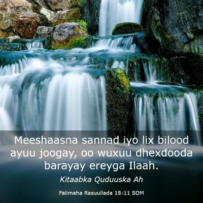 Picture 03 - Falimaha Rasuullada 18:11 SOM - Meeshaasna sannad iyo lix bilood ayuu joogay, oo - Bible Verse Picture
