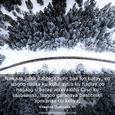Picture 03 - Falimaha Rasuullada 18:25 SOM - Ninkaas jidka Rabbiga hore baa loo baray; oo - Bible Verse Picture
