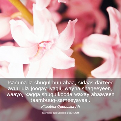 Picture 03 - Falimaha Rasuullada 18:3 SOM - Isaguna la shuqul buu ahaa, sidaas darteed ayuu - Bible Verse Picture