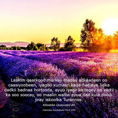 Picture 03 - Falimaha Rasuullada 19:9 SOM - Laakiin qaarkood markay madax adkaadeen oo - Bible Verse Picture