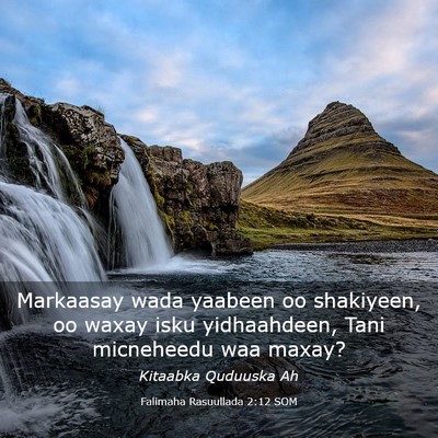 Picture 03 - Falimaha Rasuullada 2:12 SOM - Markaasay wada yaabeen oo shakiyeen, oo waxay - Bible Verse Picture