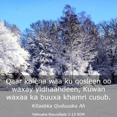 Picture 03 - Falimaha Rasuullada 2:13 SOM - Qaar kalena waa ku qosleen oo waxay yidhaahdeen, - Bible Verse Picture