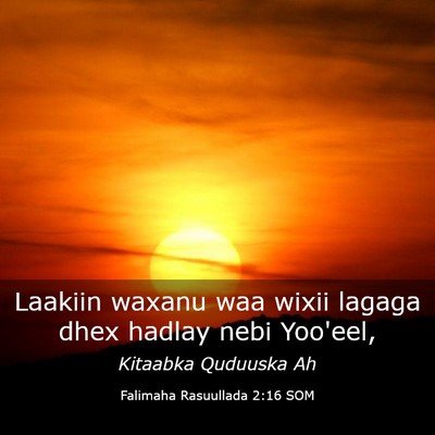 Picture 03 - Falimaha Rasuullada 2:16 SOM - Laakiin waxanu waa wixii lagaga dhex hadlay nebi - Bible Verse Picture