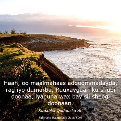Picture 03 - Falimaha Rasuullada 2:18 SOM - Haah, oo maalmahaas addoommadayda, rag iyo - Bible Verse Picture
