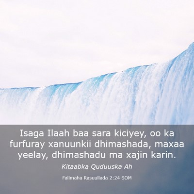 Picture 03 - Falimaha Rasuullada 2:24 SOM - Isaga Ilaah baa sara kiciyey, oo ka furfuray - Bible Verse Picture