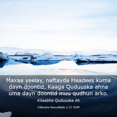 Picture 03 - Falimaha Rasuullada 2:27 SOM - Maxaa yeelay, naftayda Haadees kuma dayn doontid, - Bible Verse Picture