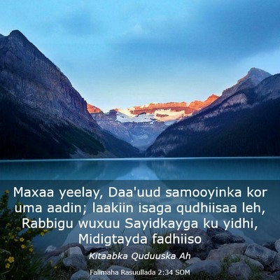 Picture 03 - Falimaha Rasuullada 2:34 SOM - Maxaa yeelay, Daa'uud samooyinka kor uma aadin; - Bible Verse Picture