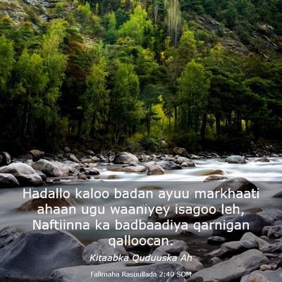 Picture 03 - Falimaha Rasuullada 2:40 SOM - Hadallo kaloo badan ayuu markhaati ahaan ugu - Bible Verse Picture