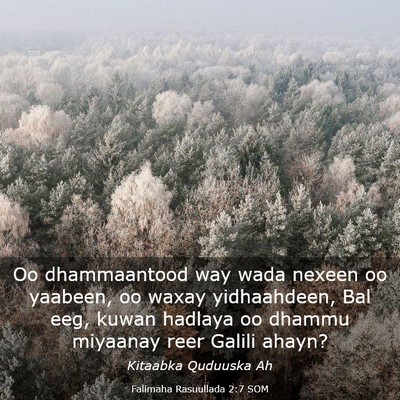 Picture 03 - Falimaha Rasuullada 2:7 SOM - Oo dhammaantood way wada nexeen oo yaabeen, oo - Bible Verse Picture