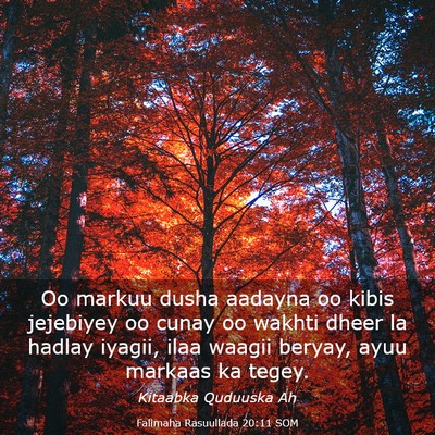 Picture 03 - Falimaha Rasuullada 20:11 SOM - Oo markuu dusha aadayna oo kibis jejebiyey oo - Bible Verse Picture