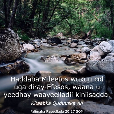 Picture 03 - Falimaha Rasuullada 20:17 SOM - Haddaba Mileetos wuxuu cid uga diray Efesos, - Bible Verse Picture