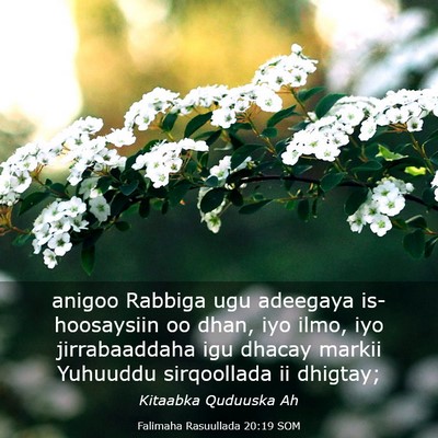 Picture 03 - Falimaha Rasuullada 20:19 SOM - anigoo Rabbiga ugu adeegaya is-hoosaysiin oo - Bible Verse Picture