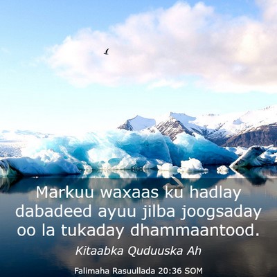 Picture 03 - Falimaha Rasuullada 20:36 SOM - Markuu waxaas ku hadlay dabadeed ayuu jilba - Bible Verse Picture