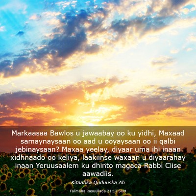 Picture 03 - Falimaha Rasuullada 21:13 SOM - Markaasaa Bawlos u jawaabay oo ku yidhi, Maxaad - Bible Verse Picture