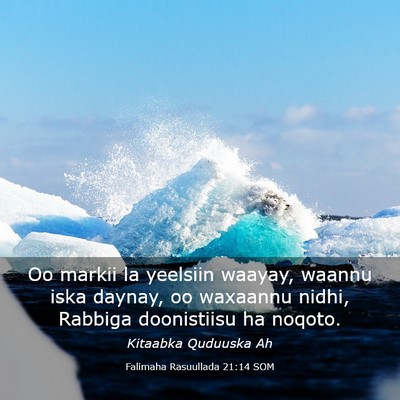 Picture 03 - Falimaha Rasuullada 21:14 SOM - Oo markii la yeelsiin waayay, waannu iska daynay, - Bible Verse Picture