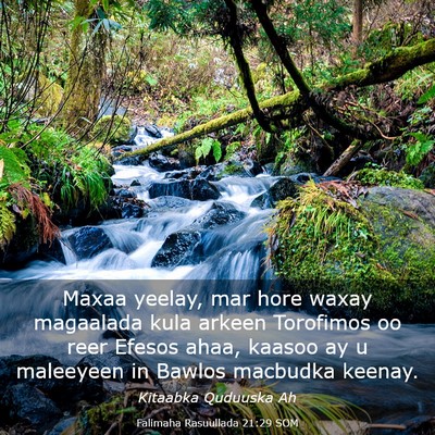 Picture 03 - Falimaha Rasuullada 21:29 SOM - Maxaa yeelay, mar hore waxay magaalada kula - Bible Verse Picture