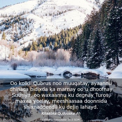 Picture 03 - Falimaha Rasuullada 21:3 SOM - Oo kolkii Qubrus noo muuqatay, ayaannu dhinaca - Bible Verse Picture