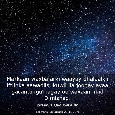 Picture 03 - Falimaha Rasuullada 22:11 SOM - Markaan waxba arki waayay dhalaalkii iftiinka - Bible Verse Picture