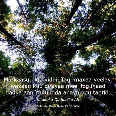 Picture 03 - Falimaha Rasuullada 22:21 SOM - Markaasuu igu yidhi, Tag, maxaa yeelay, waxaan - Bible Verse Picture