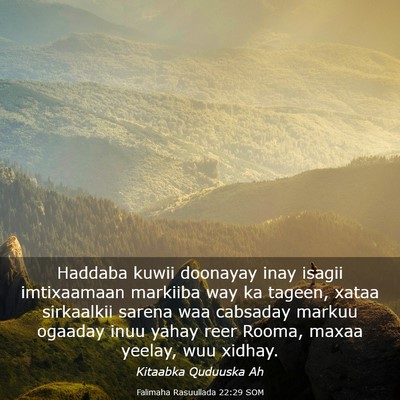 Picture 03 - Falimaha Rasuullada 22:29 SOM - Haddaba kuwii doonayay inay isagii imtixaamaan - Bible Verse Picture