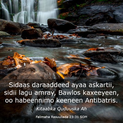 Picture 03 - Falimaha Rasuullada 23:31 SOM - Sidaas daraaddeed ayaa askartii, sidii lagu - Bible Verse Picture