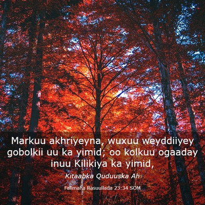 Picture 03 - Falimaha Rasuullada 23:34 SOM - Markuu akhriyeyna, wuxuu weyddiiyey gobolkii uu - Bible Verse Picture