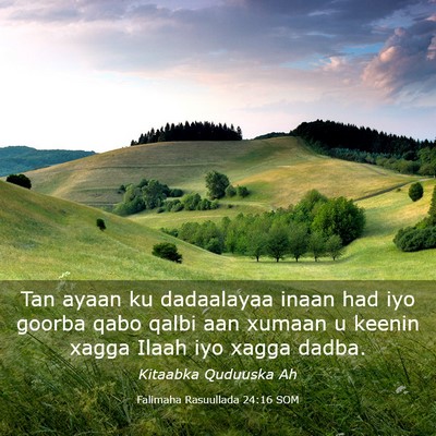 Picture 03 - Falimaha Rasuullada 24:16 SOM - Tan ayaan ku dadaalayaa inaan had iyo goorba qabo - Bible Verse Picture