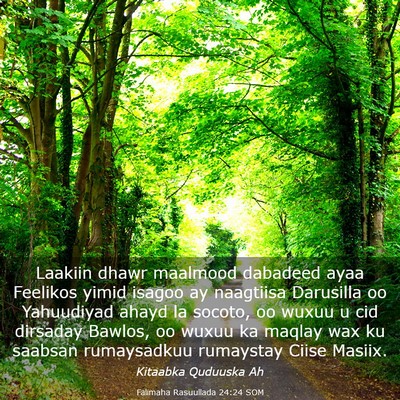 Picture 03 - Falimaha Rasuullada 24:24 SOM - Laakiin dhawr maalmood dabadeed ayaa Feelikos - Bible Verse Picture