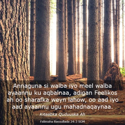 Picture 03 - Falimaha Rasuullada 24:3 SOM - Annaguna si walba iyo meel walba ayaannu ku - Bible Verse Picture