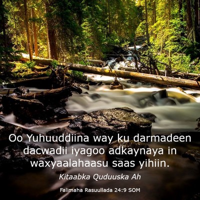 Picture 03 - Falimaha Rasuullada 24:9 SOM - Oo Yuhuuddiina way ku darmadeen dacwadii iyagoo - Bible Verse Picture