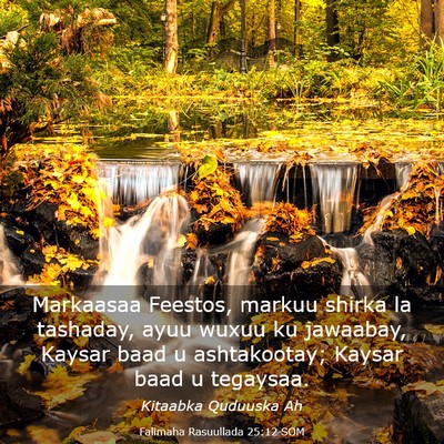 Picture 03 - Falimaha Rasuullada 25:12 SOM - Markaasaa Feestos, markuu shirka la tashaday, - Bible Verse Picture