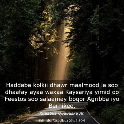 Picture 03 - Falimaha Rasuullada 25:13 SOM - Haddaba kolkii dhawr maalmood la soo dhaafay ayaa - Bible Verse Picture