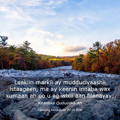 Picture 03 - Falimaha Rasuullada 25:18 SOM - Laakiin markii ay mudduciyaashii istaageen, ma ay - Bible Verse Picture