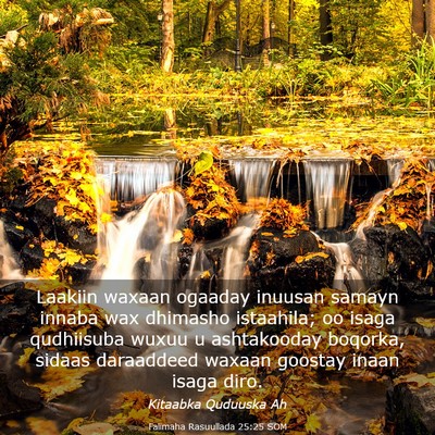 Picture 03 - Falimaha Rasuullada 25:25 SOM - Laakiin waxaan ogaaday inuusan samayn innaba wax - Bible Verse Picture