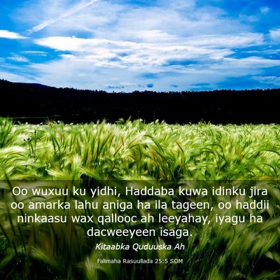 Picture 03 - Falimaha Rasuullada 25:5 SOM - Oo wuxuu ku yidhi, Haddaba kuwa idinku jira oo - Bible Verse Picture